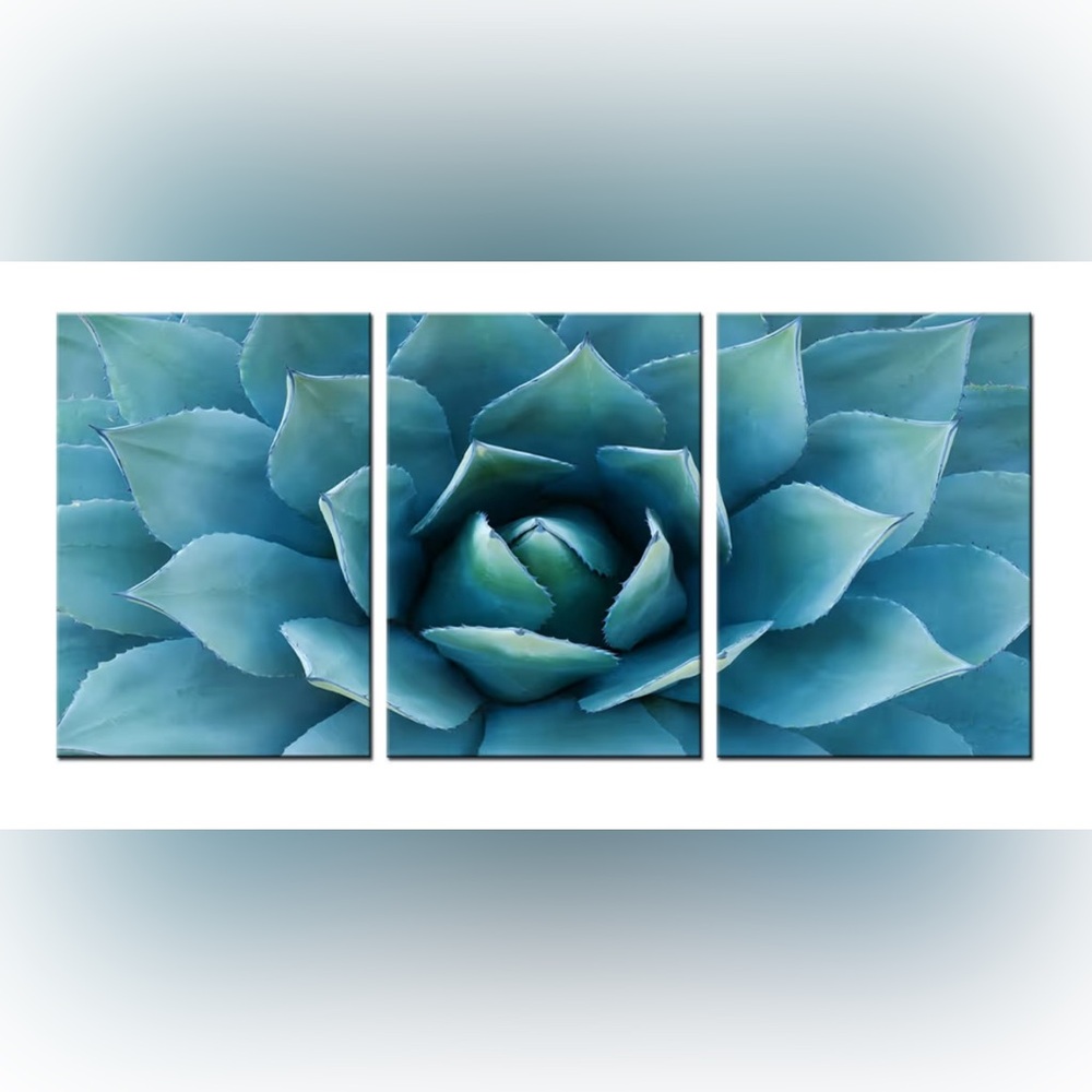 3 pc Blue Succulent Canvas Wall Art Decor Turquoise